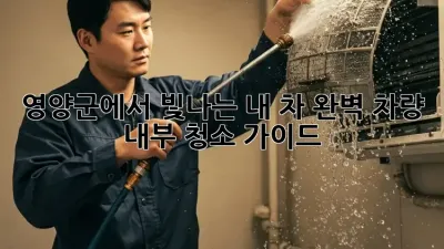 영양군에서 빛나는 내 차, 완벽 차량 내부 청소 가이드!