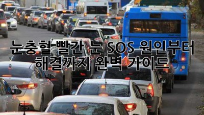 눈충혈, 빨간 눈 SOS🚨 원인부터 해결까지 완벽 가이드!